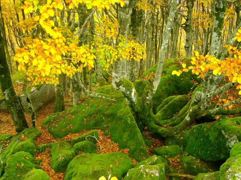 Agroturismo Podere Di Maggio