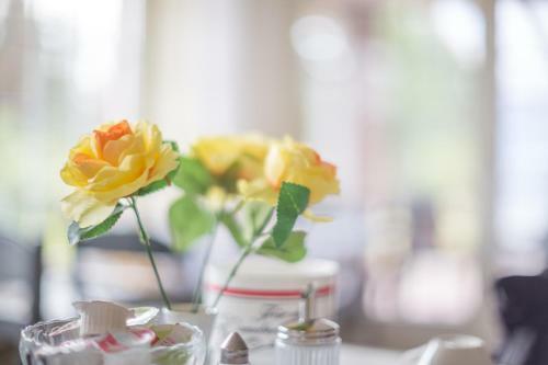 Hostal Pension Blumen-villa