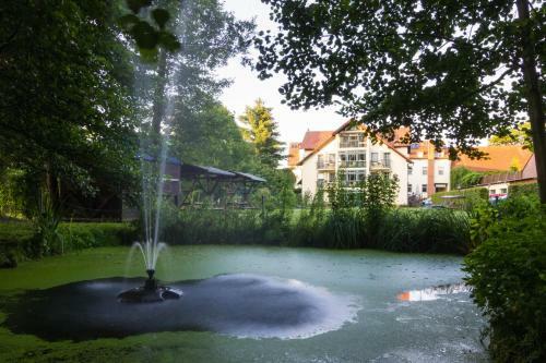Hotel Und Restaurant "am Alten Rhin"