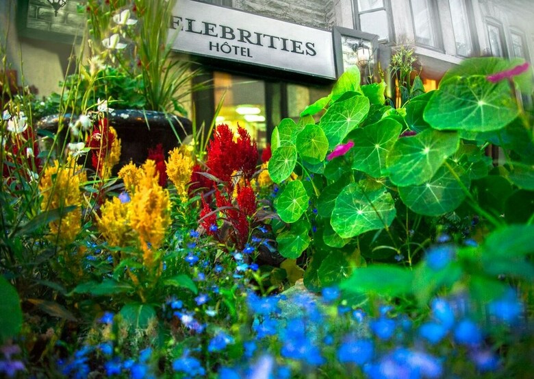The Celebrities Hotel