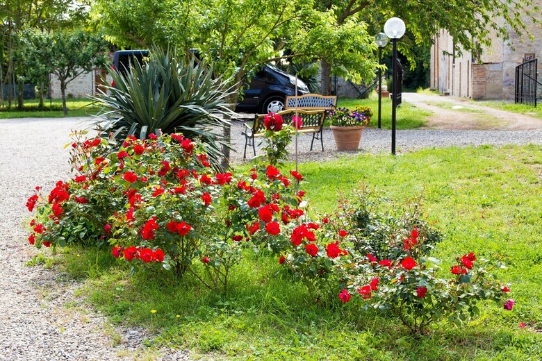 Fattoria Il Casone
