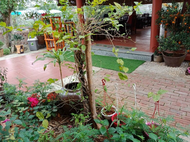 Hostal Ninh Binh Eco Garden