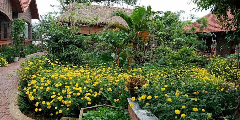 Hostal Ninh Binh Eco Garden