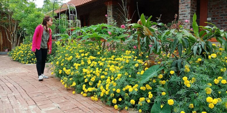 Hostal Ninh Binh Eco Garden