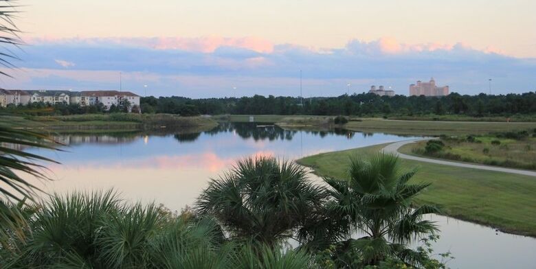 Lake View Joy