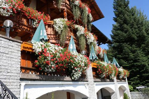 Hostal Hotel Arberblick