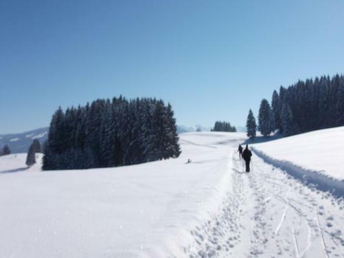 Hostal G�stehaus Schmid & Reitzner