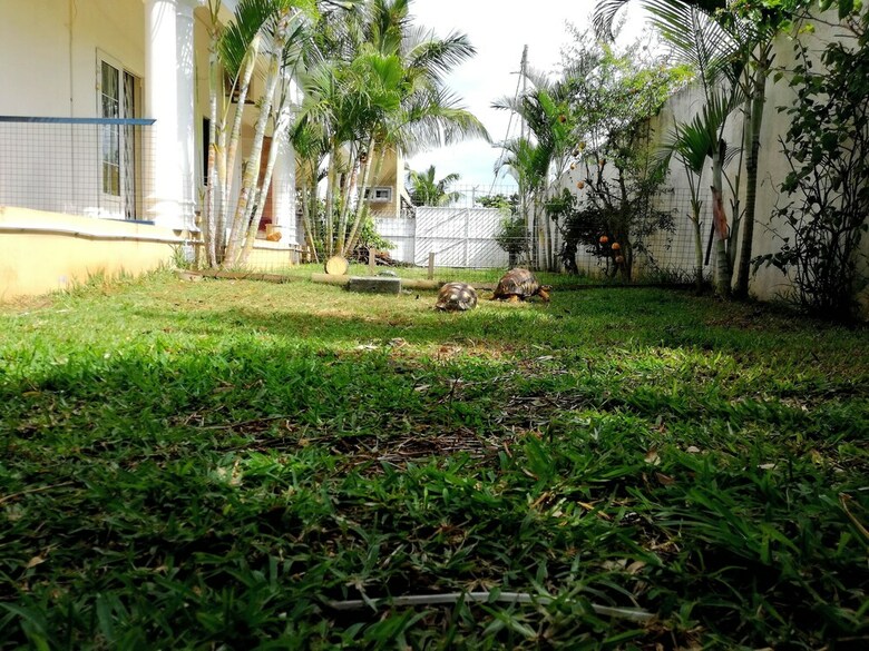 Bahama Breeze Beach Apartment B&B