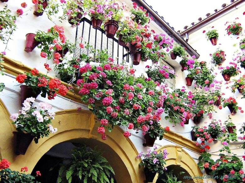 Apartamentos Casa En Marbella