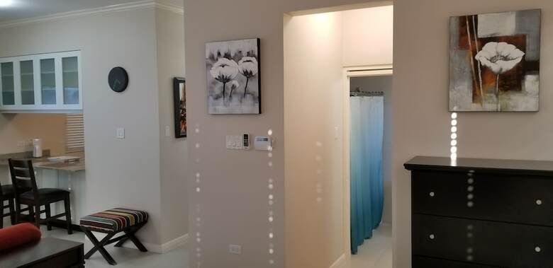 New Kingston Guest Apartment At Eight