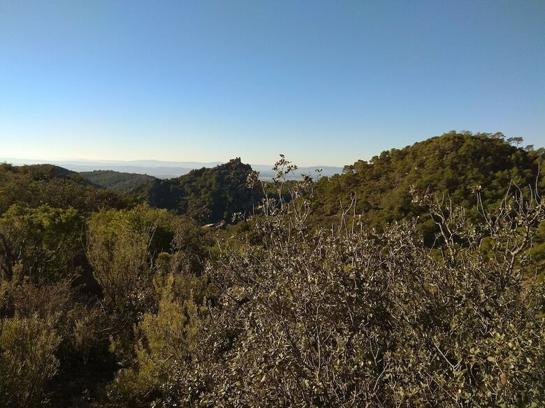 Guesthouse Castillo El Real