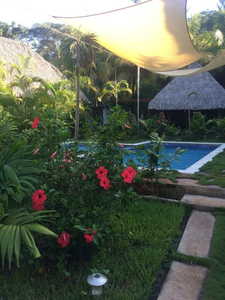 Hotel Papaya Lodge Las Flores