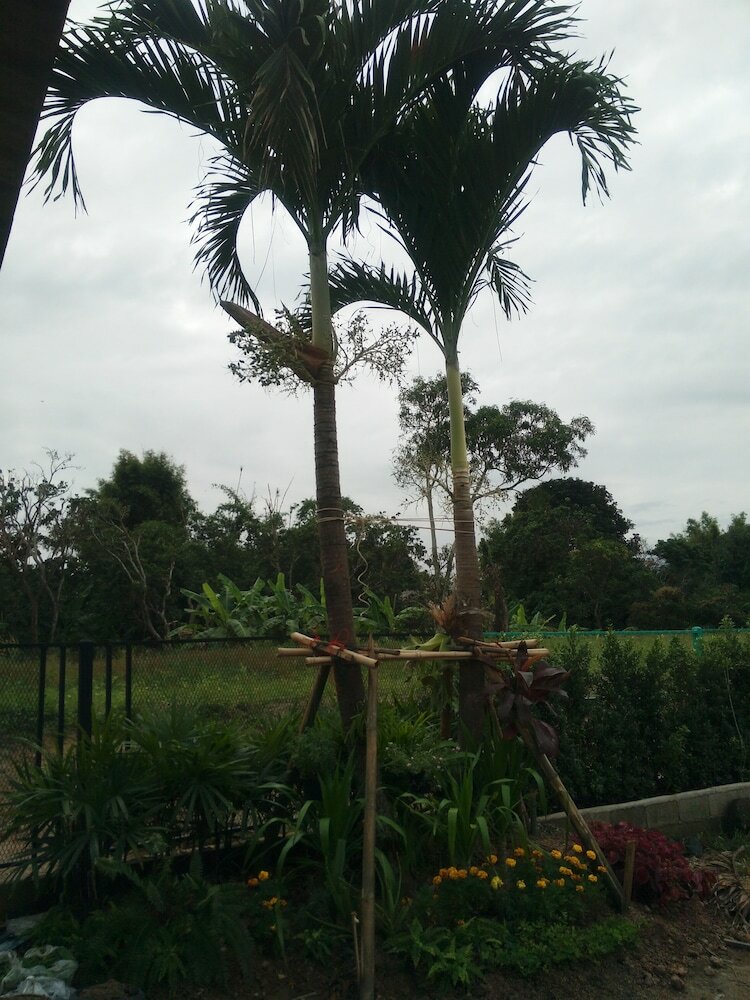 Hotel Duangdara Guesthouse