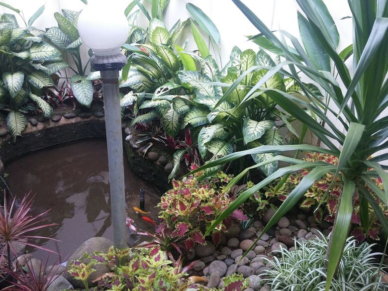 Bed & Breakfast Gio Guesthouse Bogor
