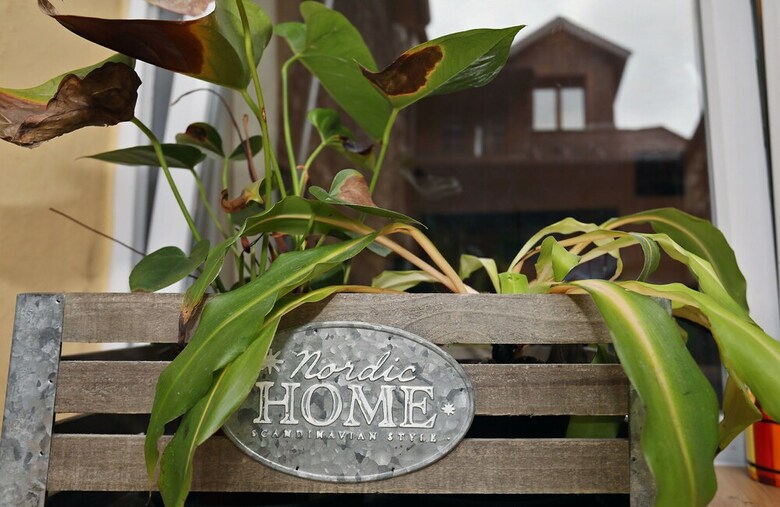 Apartamentos Tranquillity And Comfort In Annecy Downtown