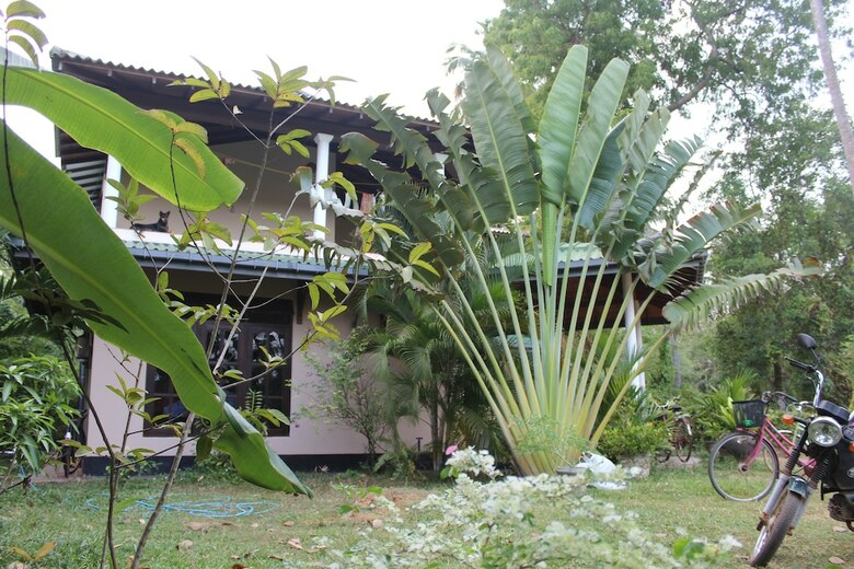 Bed & Breakfast All View Resort