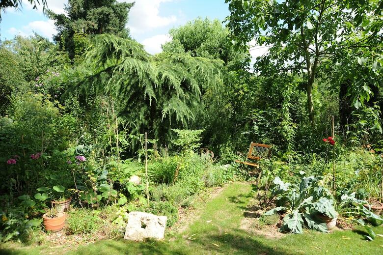 Bed & Breakfast Maison Cervi�a