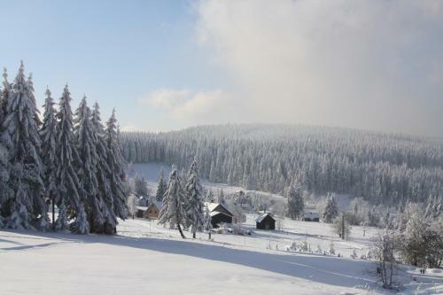 Ferienhotel M�hlleithen