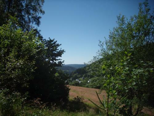 Hostal Greizer Kammh�tte Gastst�tte & Pension