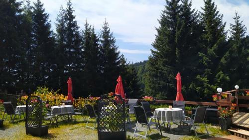 Hostal Greizer Kammh�tte Gastst�tte & Pension