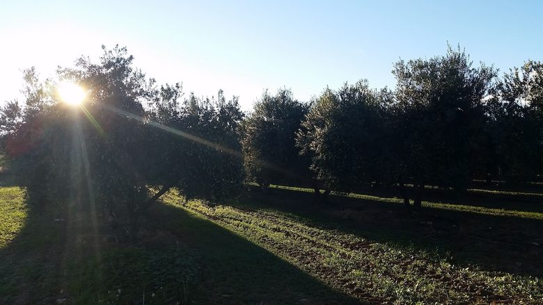 Agroturismo Mas Montbrio Belvedere