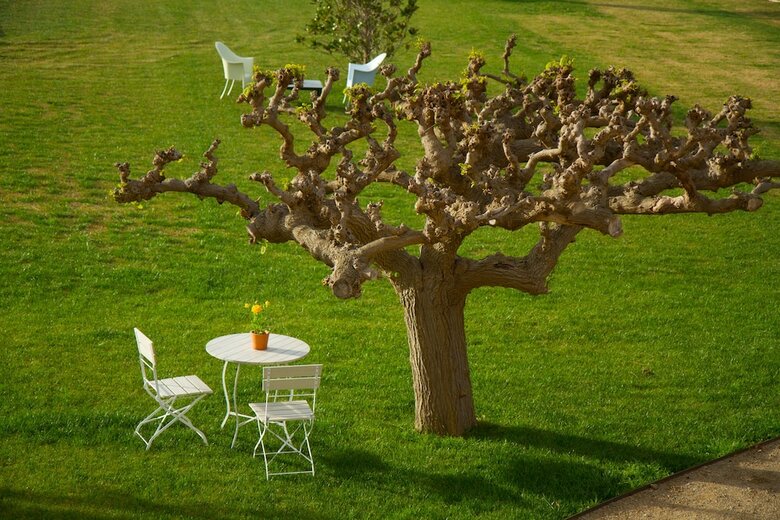 Agroturismo Mas Montbrio Belvedere
