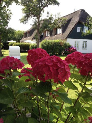Hostal Rackmers-hof Hotel Garni