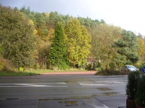 Hotel Am Wildpark
