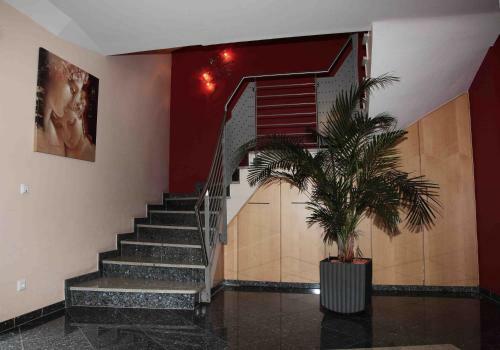 Hotel-restaurant La Fontana Costanzo