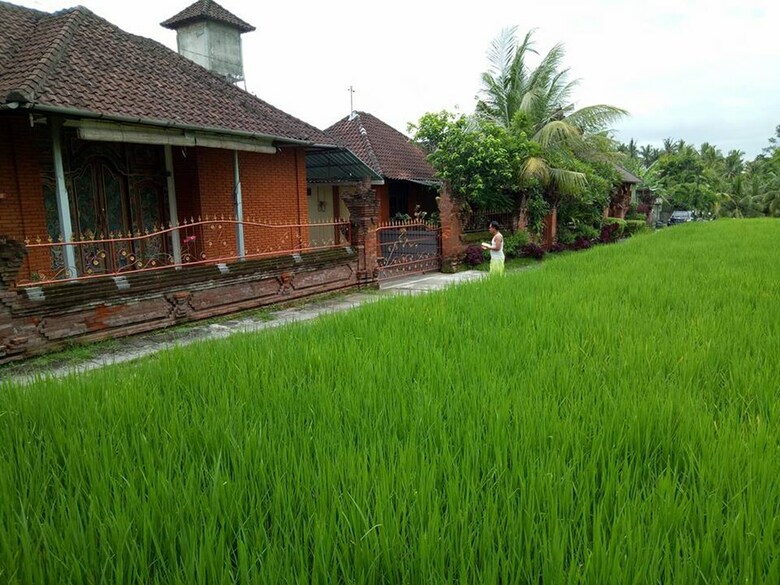 Hostal Tri Hita Karana House