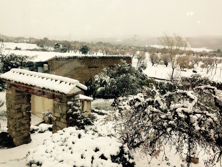 Hotel Al�n D'arag�n