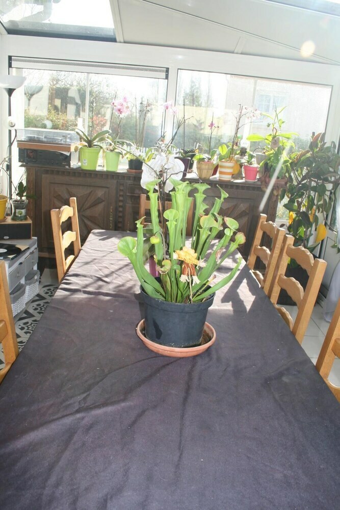 Bed & Breakfast La Squiffiecoise