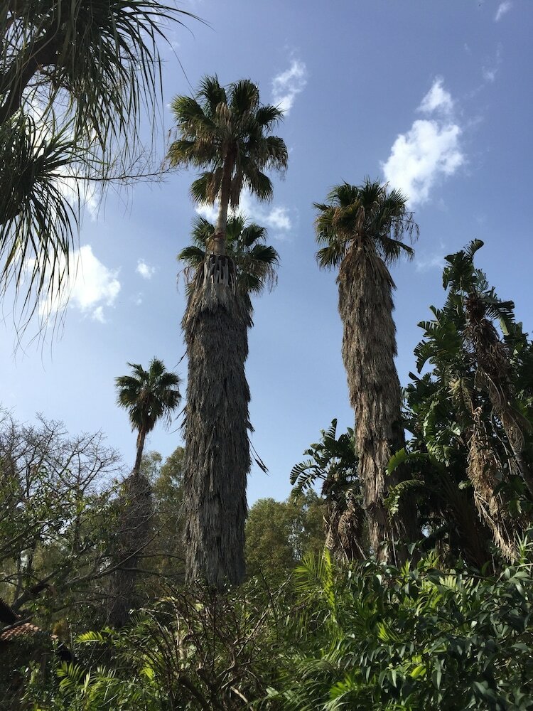 Apartamento Le Palme Garden