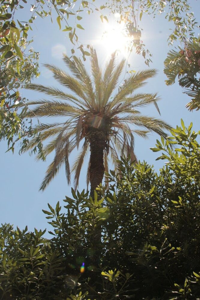 Apartamento Le Palme Garden
