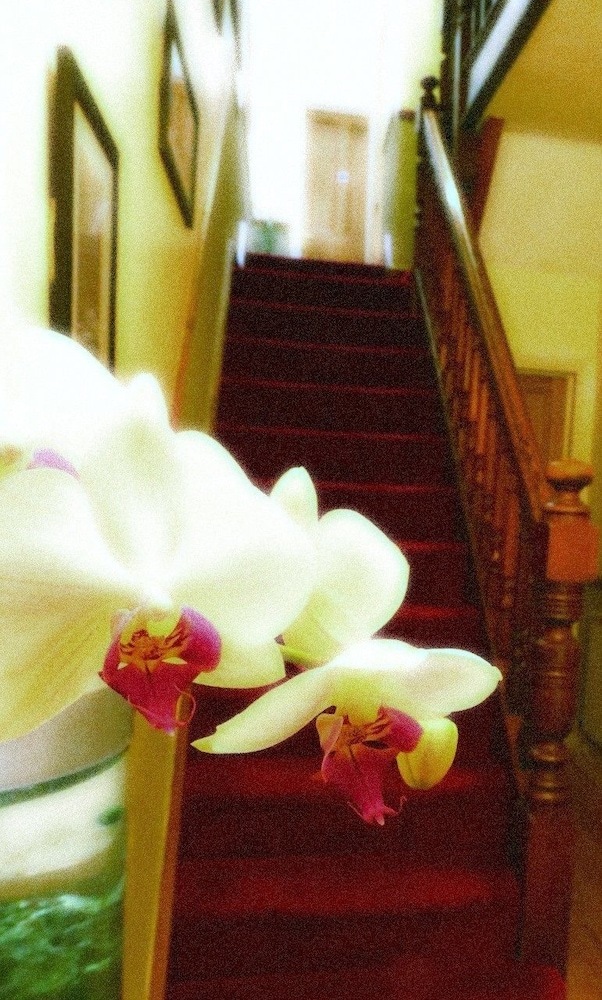 Laurel Cottage B&B Windermere