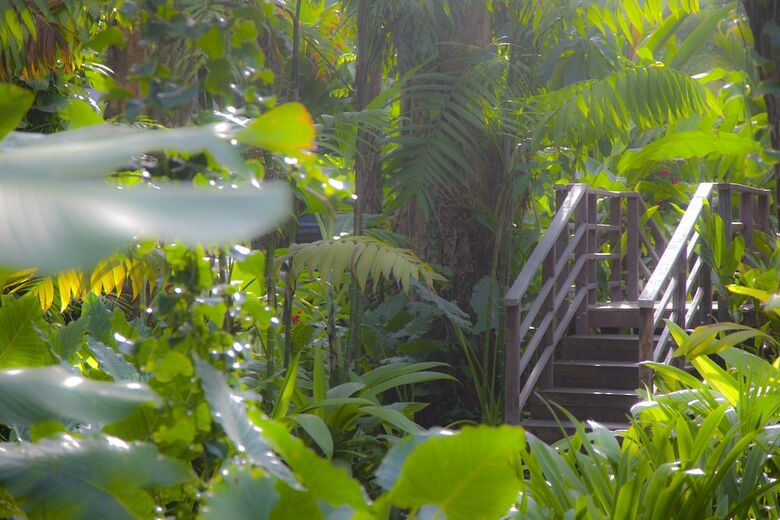 Hotel Le Cameleon Puerto Viejo