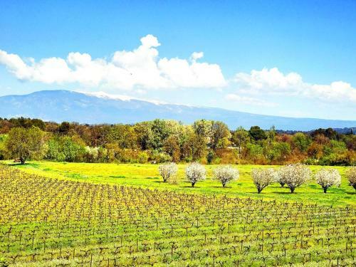 Bed & Breakfast Domaine De La Brave