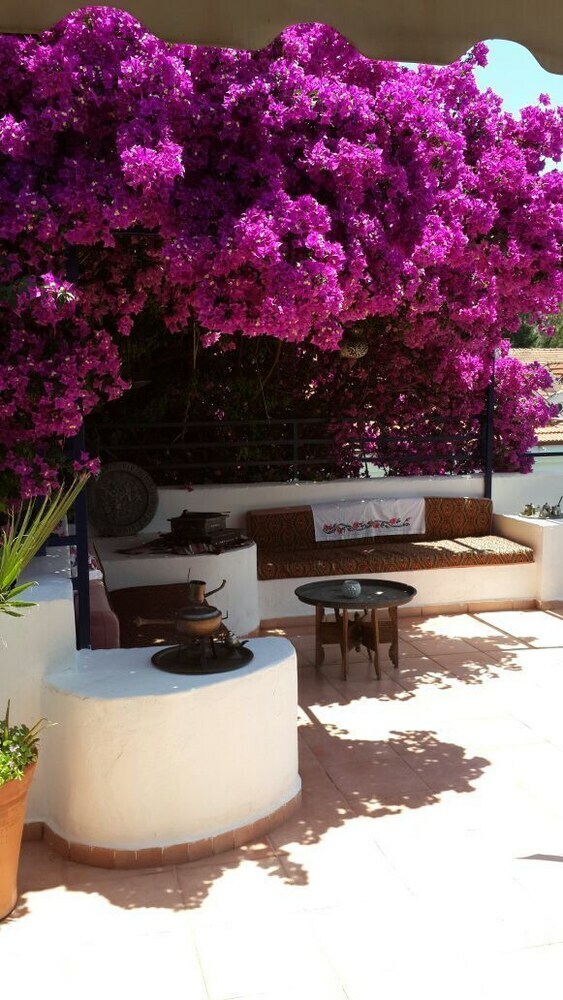 Dalyando Hotel