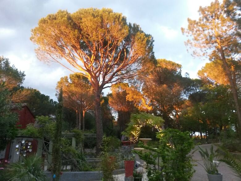 Hotel Les Mayombes