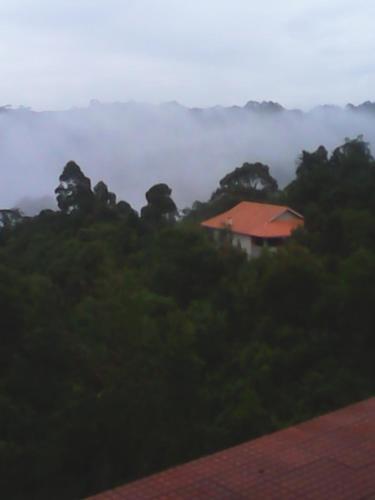 All Green Residence