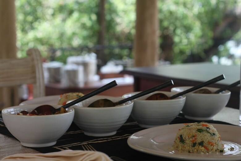 Hotel Flameback Eco Lodge
