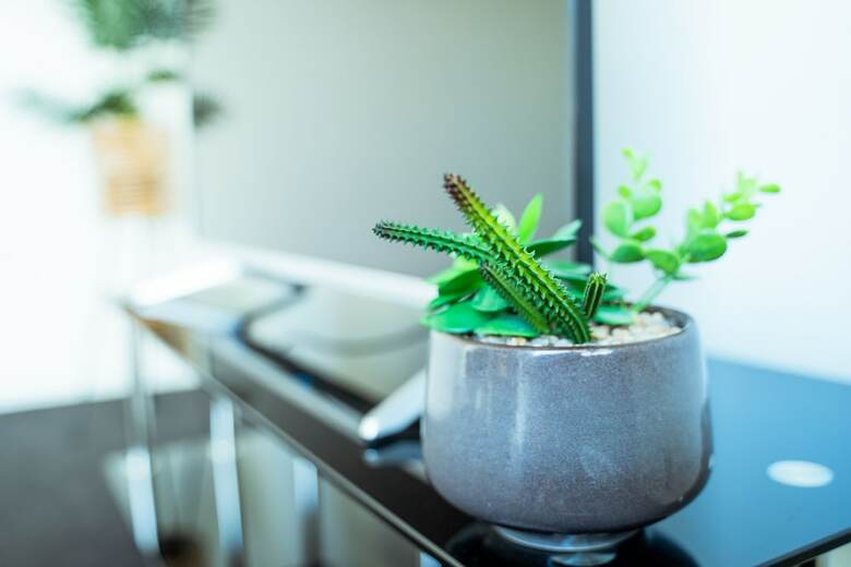 Punchbowl Executive Apartments