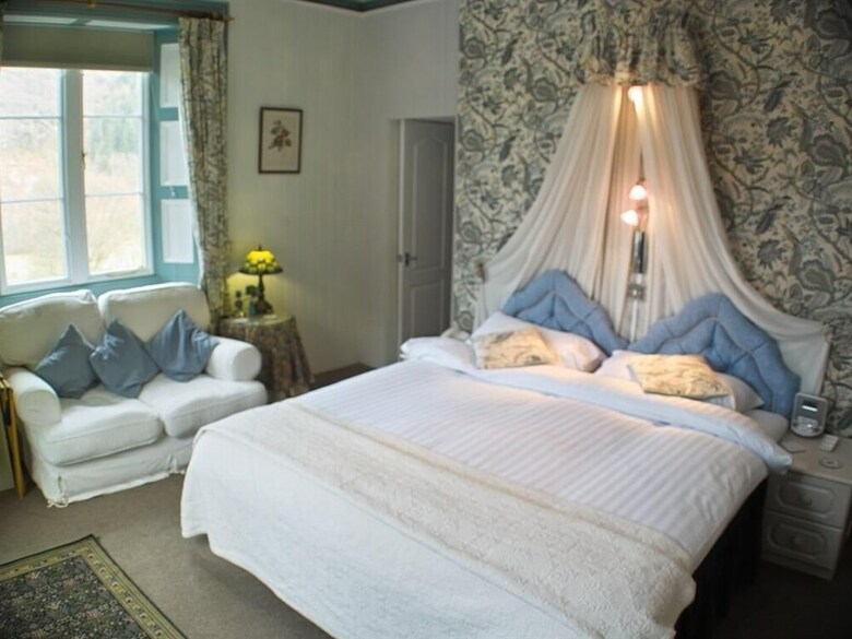 Bed & Breakfast Plas Dolmelynllyn Country Hotel