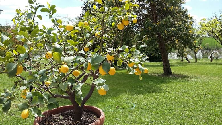 Agroturismo Villa La Morina Agriturismo