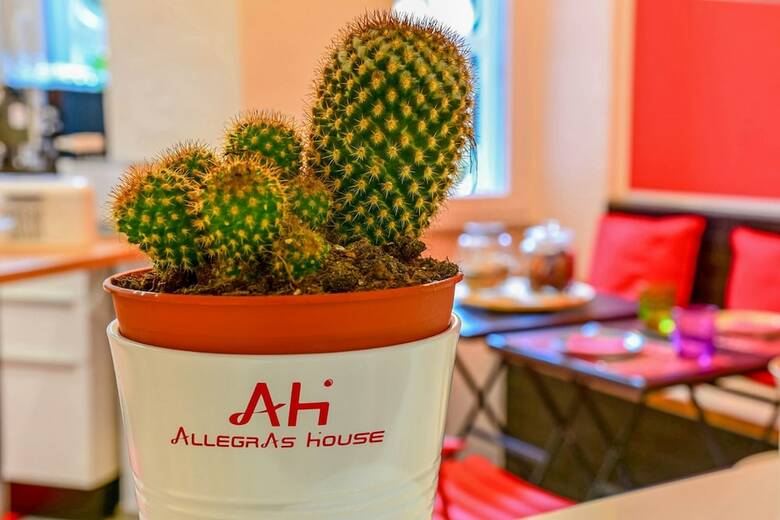 Hotel Allegras House Caracciolo