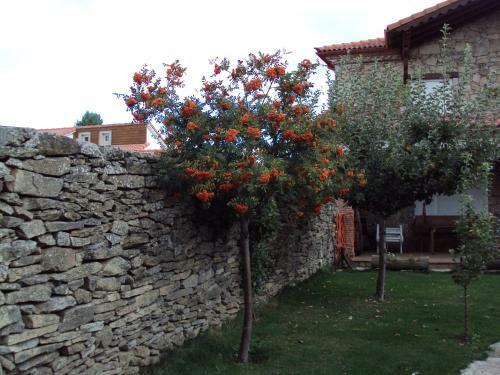 Agroturismo Ermita De Gredos