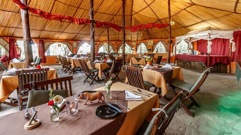 Aruba Mara Bush Camp