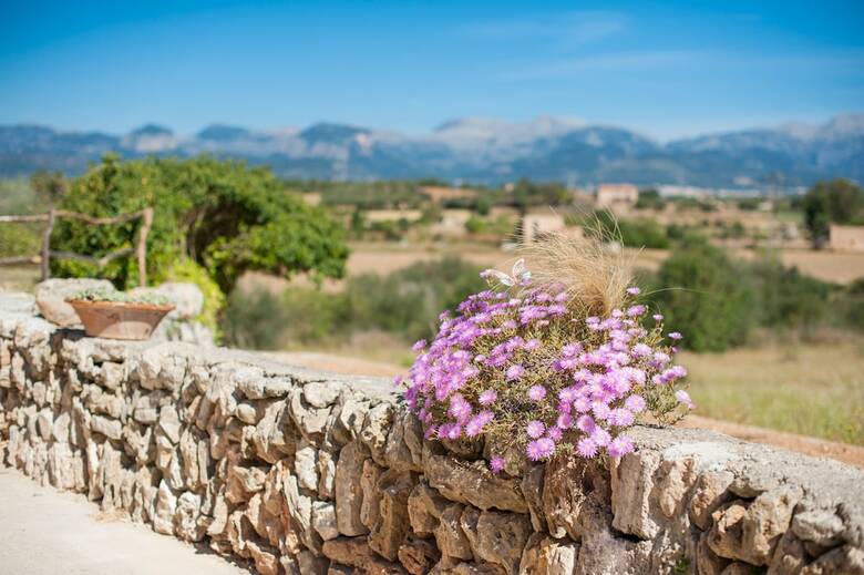 Apartamentos Sa Tanca De Can Vicens