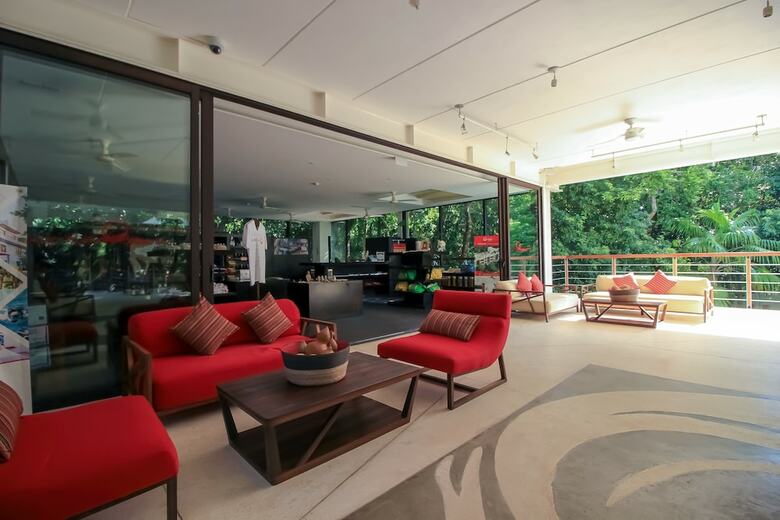 Apartamentos Loft With Jungle View Hosted By Olahola