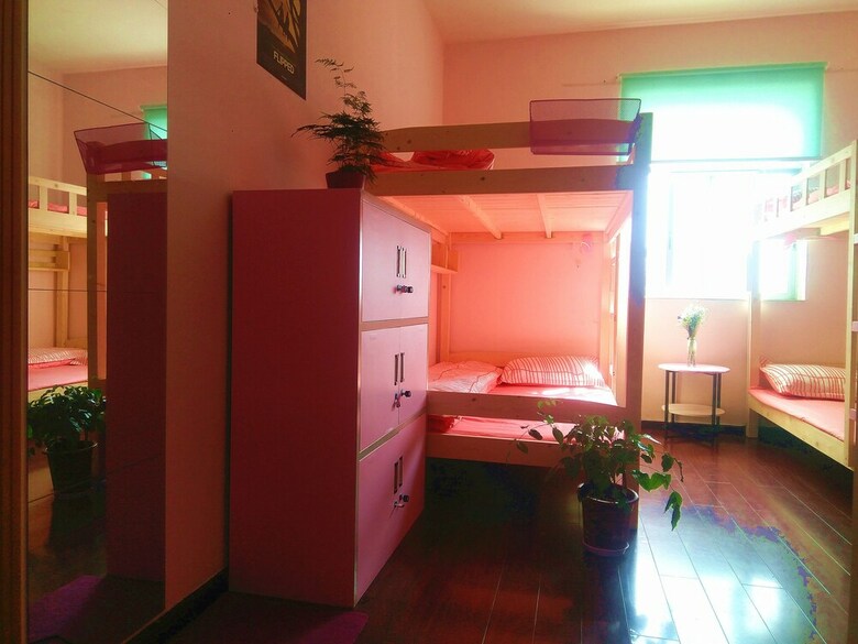 Hostal Downtown Center Youth Hostel